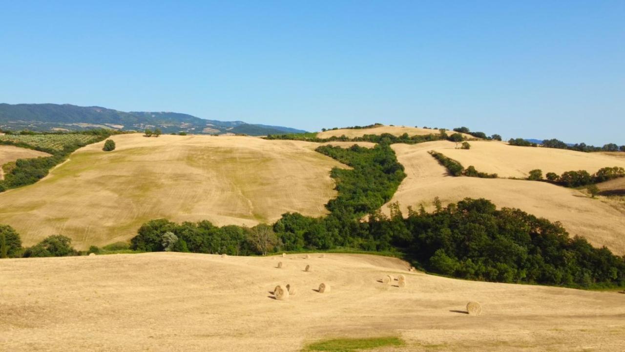 Glamping Le Dune Cinigiano Exterior photo
